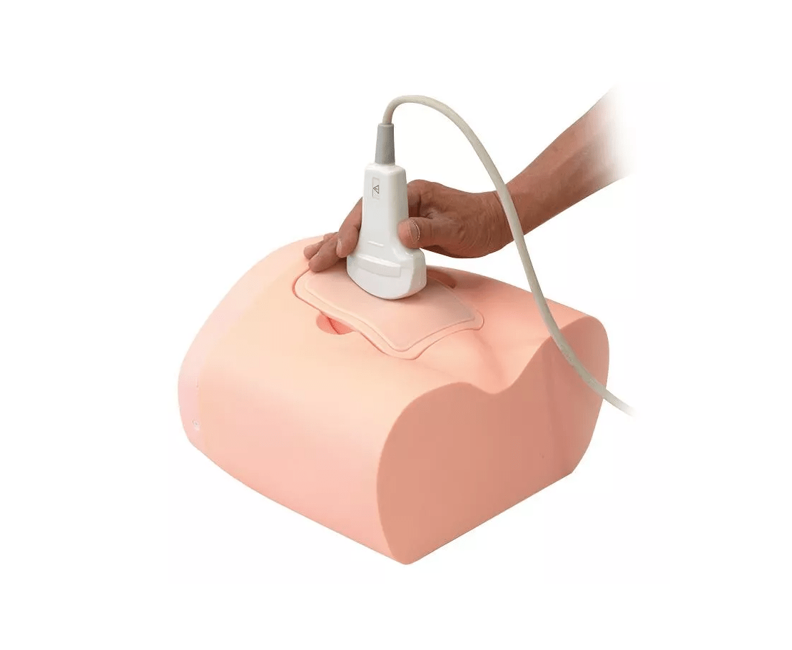 Übungsmodell Intravesikale Urinvolumenmessung - Erler - Zimmer